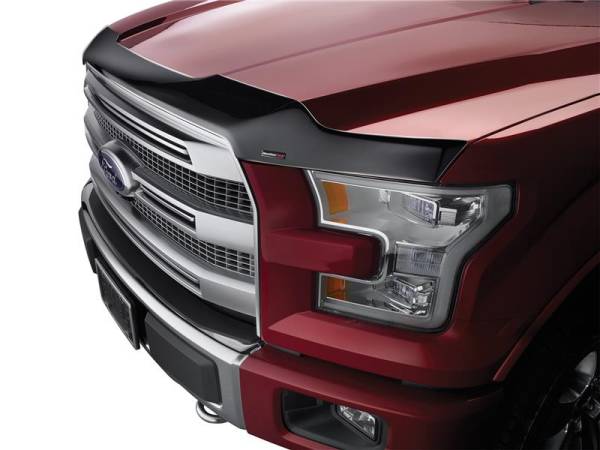 WeatherTech - WeatherTech 12-13 Ford Fiesta Hood Protector - Black | 55110 - Image 1
