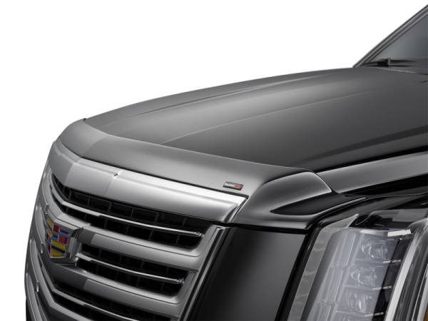 WeatherTech - WeatherTech 2025 Chevrolet Equinox Hood Skin Protector - Black | 55264 - Image 1
