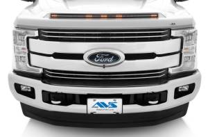 AVS Bug Shield (Ford)