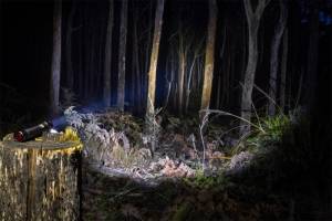 ARB - ARB Pureview 800 Flashlight 800 Lumen Flashlight | 10500070 - Image 2