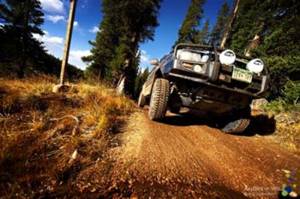 ARB W/Bar Tacoma 05-11 Afo 8-9.5 (Fit Kit NOT Included) | 3423130 - Image 5