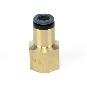 Air Lift - Air Lift Straight Female - 1/4in FNPT X 1/4in PTC | 21810 - Image 2