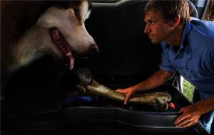 Husky Liners - Husky Liners 2014 Chevrolet/GMC Silverado/Sierra 1500 Ext Cab Pickup Husky Underseat GearBox Storage | 09041 - Image 2