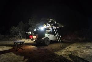 KC Hilites - KC HiLiTES C-Series C2 LED 2in. Backup Area Flood Light 20w (Single) - Black | 1519 - Image 10