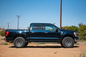 ICON - ICON 21-24 Ford F-150 4WD VS RR CDXS Coilover Kit | 91823X - Image 3