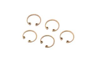 INTERNAL RETAINING RING (QTY 5) -- PROLINK, FLATLINK | 10511