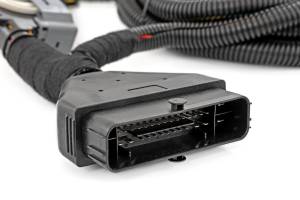 Rough Country - Speedometer Calibrator - Chevy/GMC 1500 2WD/4WD (22-25) | 90050 - Image 4