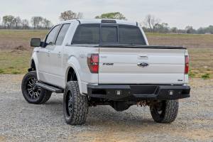 Rough Country - Rough Country - BA2 Running Board - Side Step Bars - Ford F-150 2WD/4WD (2009-2014) | 41012 - Image 6
