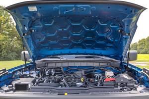 Rough Country - Rough Country - Hood Struts - Hydraulic - Ford Bronco 4WD (2021-2025) | 51060 - Image 4